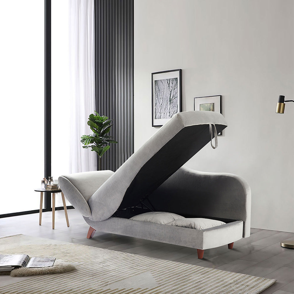 Functional Storage Chaise Lounge with 2 Pillows